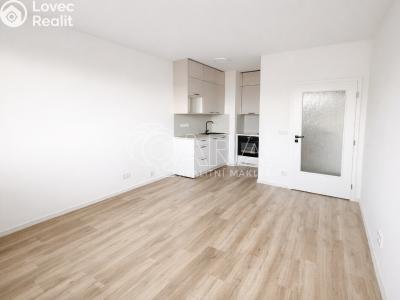 Pronájem bytu 2+KK Praha, Werichova č. 5