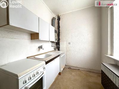 Prodej bytu 1+1 Aš, Tovární č. 2