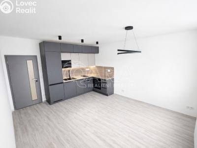 Pronájem bytu 2+KK Praha, Werichova č. 2