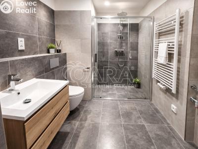 Pronájem bytu 2+KK Praha, Werichova č. 6