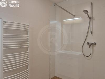 Pronájem bytu 2+KK České Budějovice, Šroubárenská č. 5