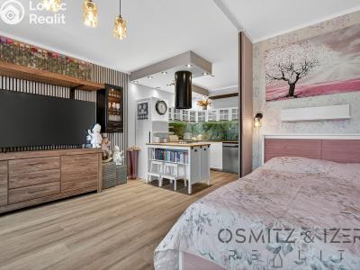 Prodej bytu 1+KK Praha, U Hostavického potoka č. 2