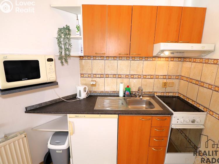 Pronájem bytu 1+KK Brno, Pražská č. 4