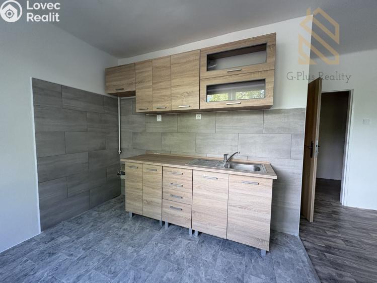 Pronájem bytu 2+1 Most č. 1