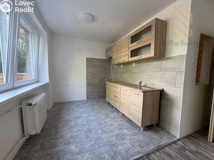 Pronájem bytu 2+1 Most č. 4
