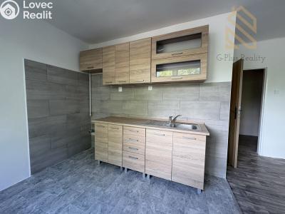 Pronájem bytu 2+1 Most č. 1