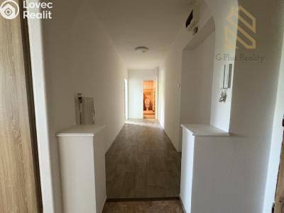 Pronájem bytu 2+1 Most č. 6