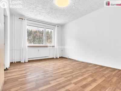 Продажа квартиры 1+1 Kraslice, Hradební č. 6