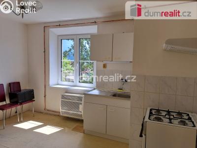 Pronájem bytu 1+1 Ústí nad Labem, Za Válcovnou č. 4