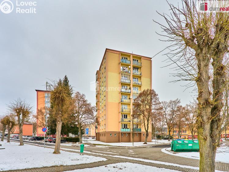 Prodej bytu 2+1 Nová Role, Školní č. 14