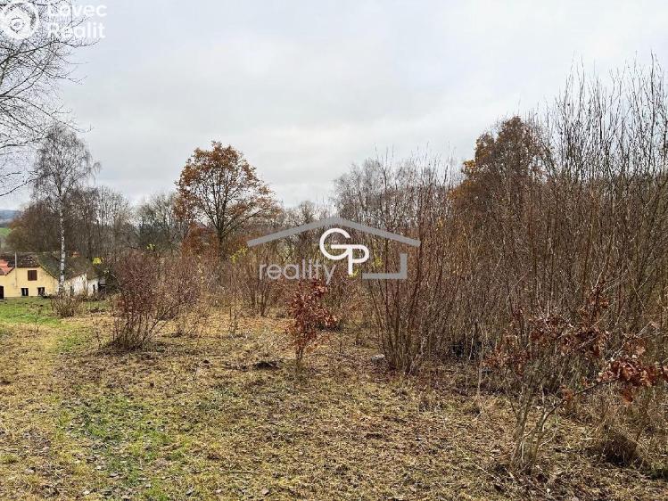 Prodej komerční nemovitosti Hracholusky č. 21