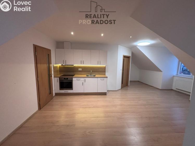 Pronájem bytu 3+1 Jistebník č. 3