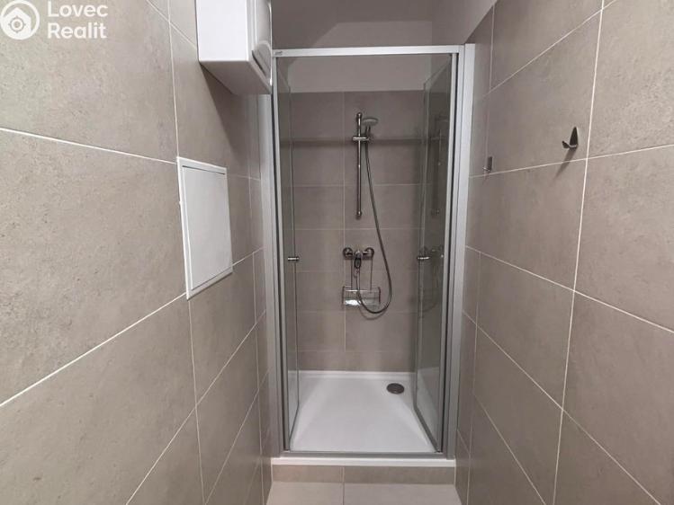 Pronájem bytu 3+1 Jistebník č. 9