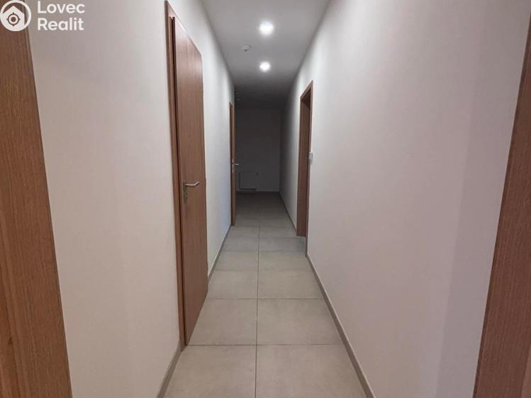 Pronájem bytu 3+1 Jistebník č. 11