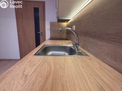 Pronájem bytu 3+1 Jistebník č. 5