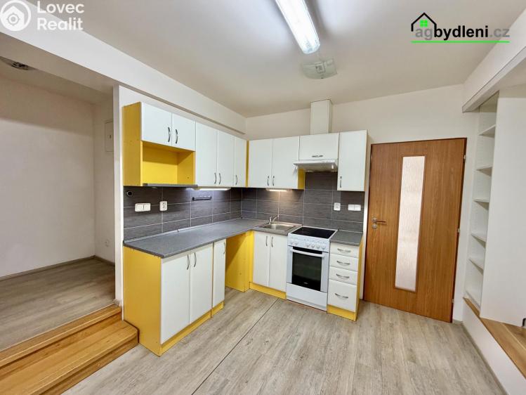 Pronájem bytu 3+KK Plzeň č. 5