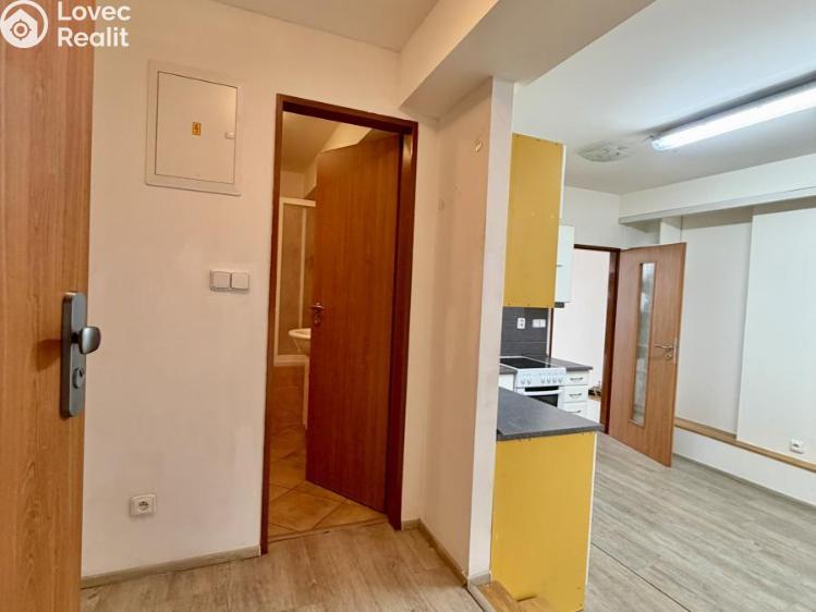 Pronájem bytu 3+KK Plzeň č. 6