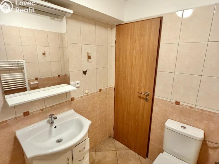 Pronájem bytu 3+KK Plzeň č. 7