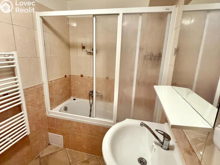 Pronájem bytu 3+KK Plzeň č. 8