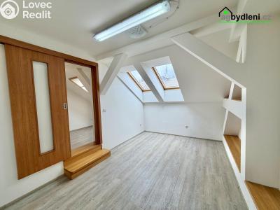 Pronájem bytu 3+KK Plzeň č. 1