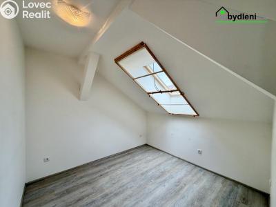 Pronájem bytu 3+KK Plzeň č. 2