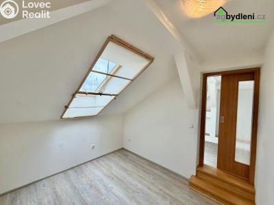 Pronájem bytu 3+KK Plzeň č. 3