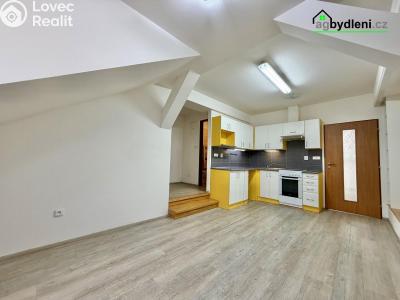 Pronájem bytu 3+KK Plzeň č. 4