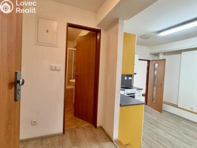 Pronájem bytu 3+KK Plzeň č. 6