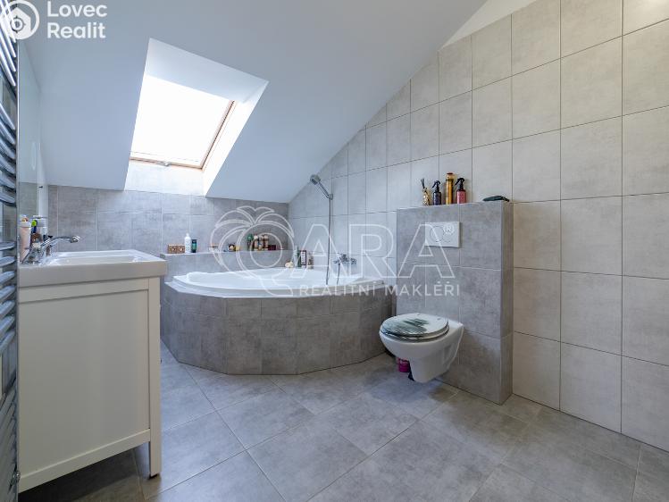 Rent family house Stehelčeves, V. Poláka 400 č. 14