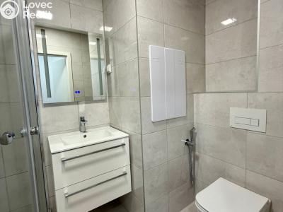 Pronájem bytu 2+1 Karviná, Borovského č. 3