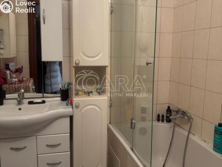 Prodej bytu 2+1 Brandýs nad Labem-Stará Boleslav, Na kloboučku č. 6