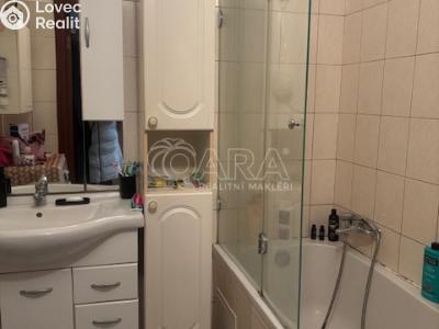 Prodej bytu 2+1 Brandýs nad Labem-Stará Boleslav, Na kloboučku č. 6