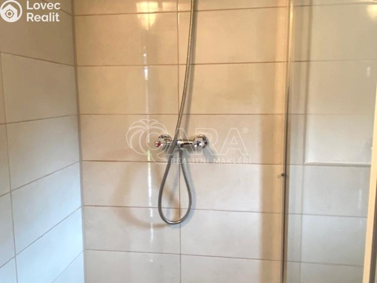 Аренда семейного дома Zubří, Na Kopci 883 č. 10