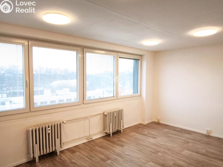 Pronájem bytu 2+1 Praha 3 č. 2