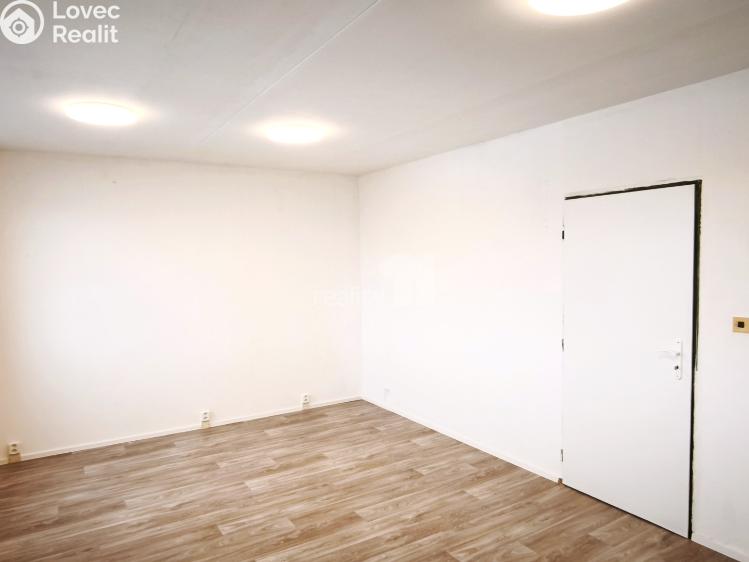 Pronájem bytu 2+1 Praha 3 č. 3