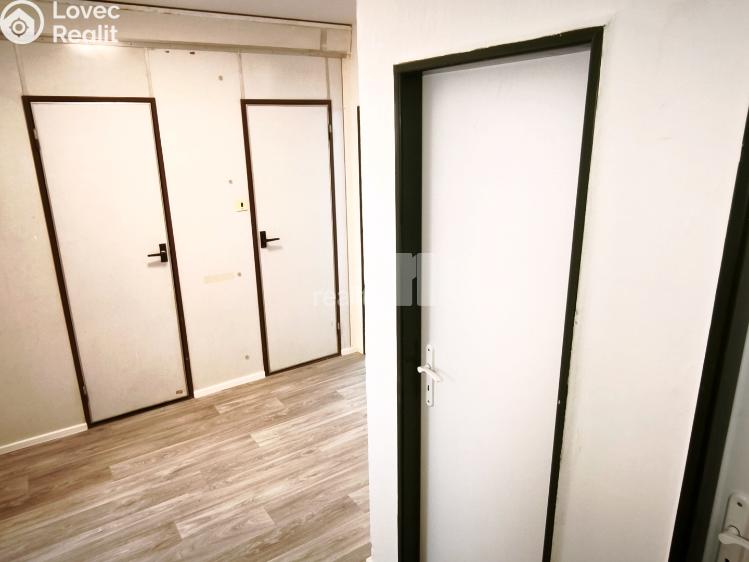 Pronájem bytu 2+1 Praha 3 č. 11