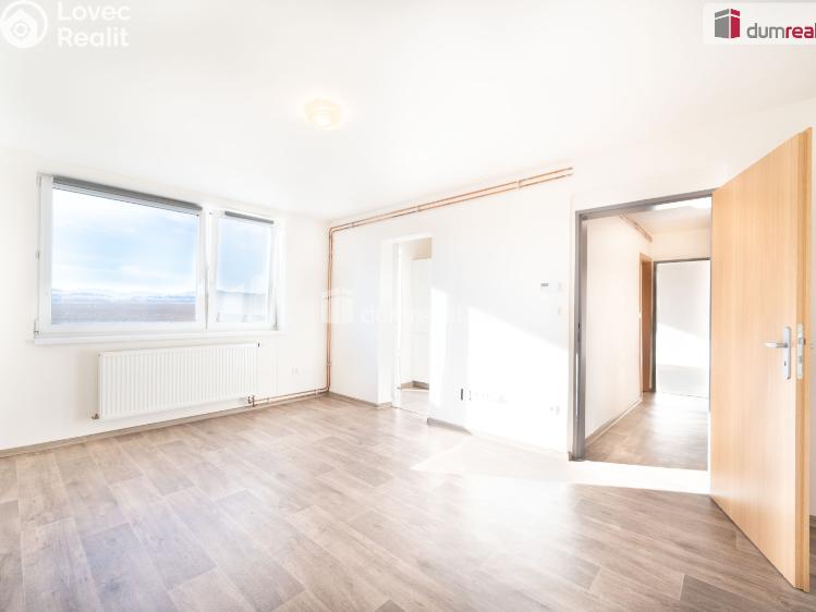 Pronájem bytu 2+1 Mirkovice č. 4