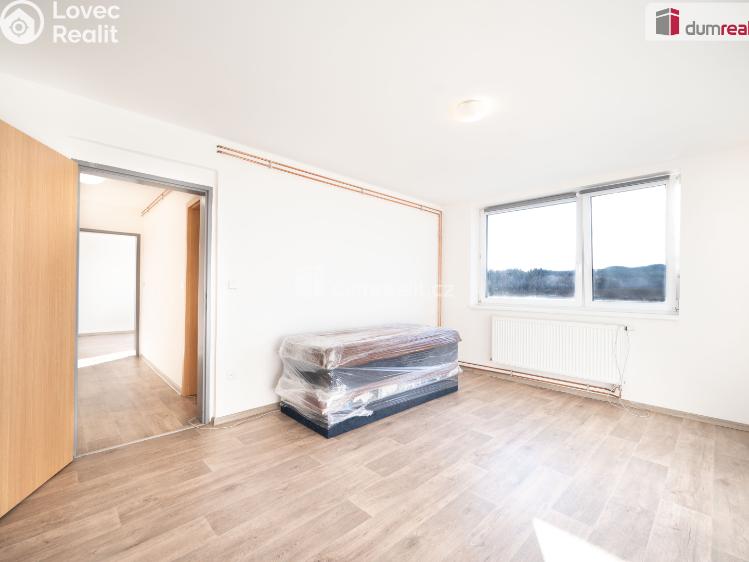 Pronájem bytu 2+1 Mirkovice č. 11