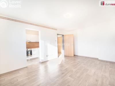 Pronájem bytu 2+1 Mirkovice č. 5