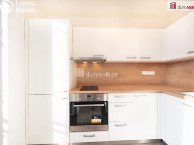 Pronájem bytu 2+1 Mirkovice č. 6