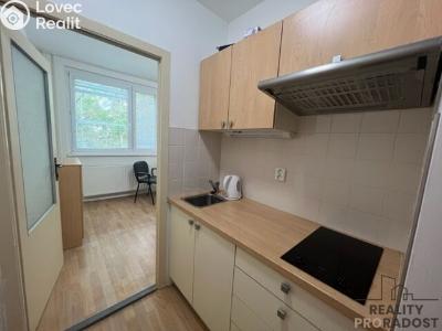 Pronájem bytu 1+1 Hodonín, Pančava č. 1