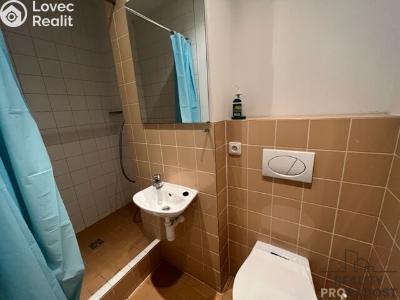 Pronájem bytu 1+1 Hodonín, Pančava č. 5