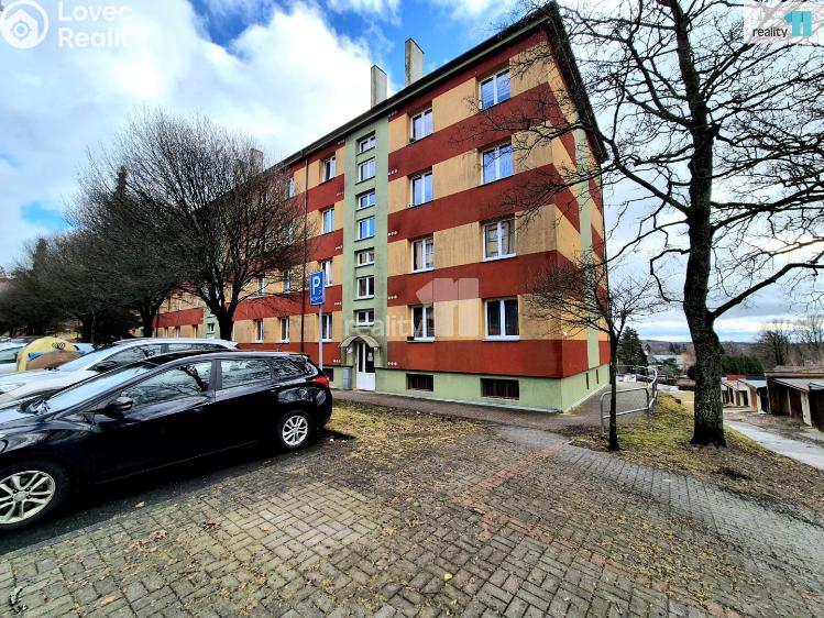 Pronájem bytu 2+1 Aš, Palackého č. 1