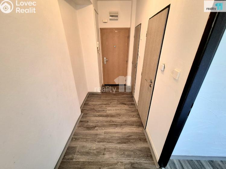 Pronájem bytu 2+1 Aš, Palackého č. 5