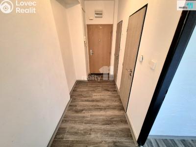 Pronájem bytu 2+1 Aš, Palackého č. 5