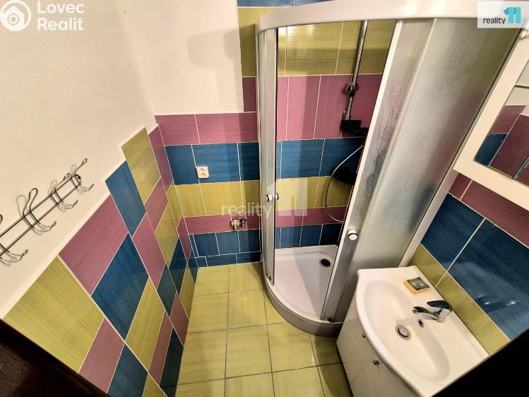 Pronájem bytu 4+1 Aš, Skřivánčí č. 10