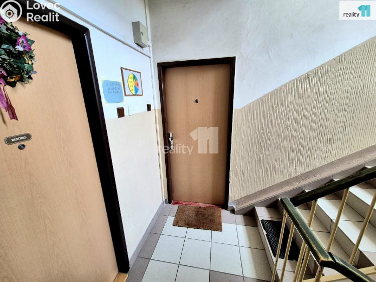 Pronájem bytu 4+1 Aš, Skřivánčí č. 11