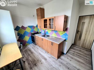 Pronájem bytu 4+1 Aš, Skřivánčí č. 2