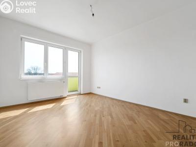 Pronájem bytu 2+1 Pardubice, U Kostelíčka č. 6