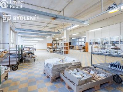 Продаж комерційної нерухомості Duchcov, Sadová 1414 č. 17